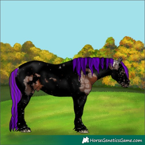 Horse Color:Void Painted Liver Chestnut Ice Splash Tobiano Frame