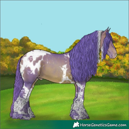 Horse Color:Watercolor Brown Pearl Tobiano Appaloosa 