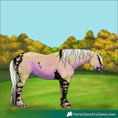 Horse Color:Void Watercolor Liver Chestnut Splash Tobiano 