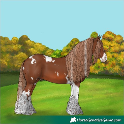 Horse Color:White Spotted Chestnut Splash Tobiano