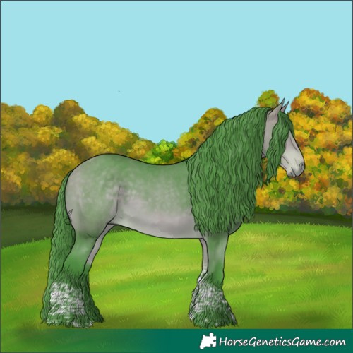 Horse Color:Watercolor Buckskin Tobiano 