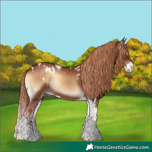 Horse Color:White Spotted Red Onyx Splash Tobiano 