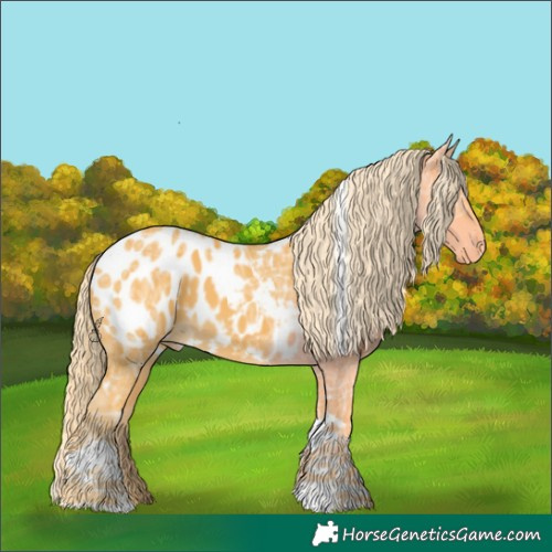 Horse Color:White Spotted Palomino Ice Tobiano Appaloosa
