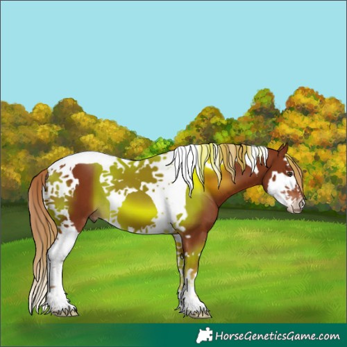 Horse Color:Chestnut Splash Tobiano