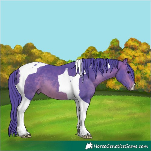 Horse Color:Watercolor Bay Tobiano