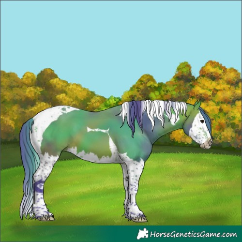 Horse Color:Watercolor Bay Splash Tobiano 