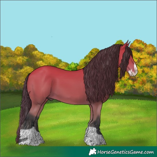 Horse Color:Bay Splash Tobiano 