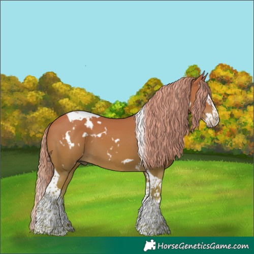 Horse Color:White Spotted Chestnut Splash Tobiano