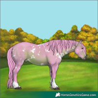 Horse Color:Watercolor White Spotted Bay Tobiano