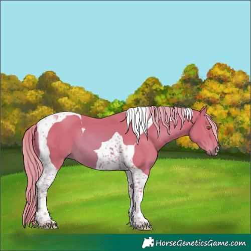 Horse Color:Watercolor Chestnut Tobiano 