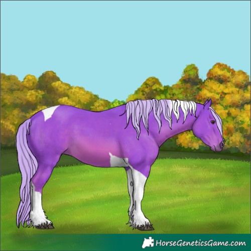 Horse Color:Watercolor Chestnut Tobiano 