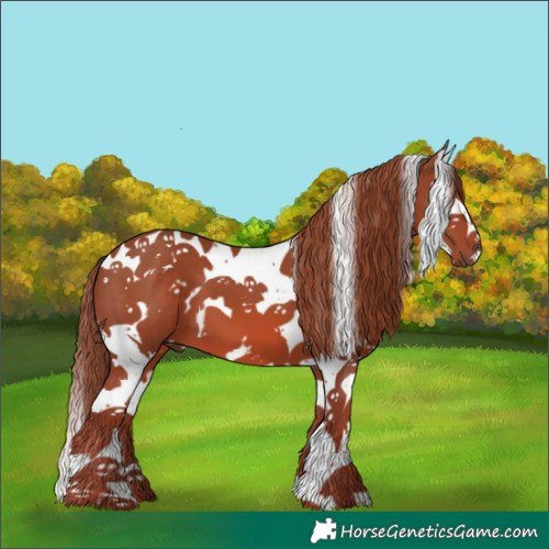 Horse Color:White Spotted Chestnut Splash Tobiano 