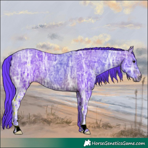 Horse Color:Watercolor Brown Ice 