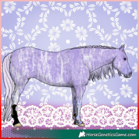 Horse Color:Watercolor Silver Grullo Ice