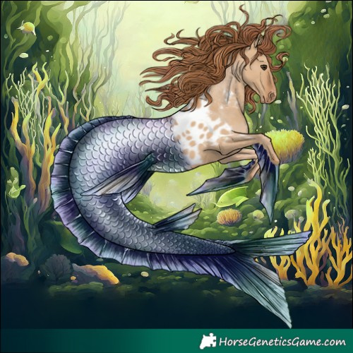 Horse Color:Red Dun Appaloosa  and Red Dun Appaloosa 