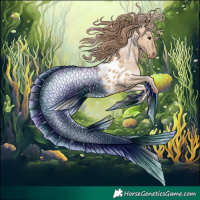 Horse Color:Red Dun Near Leopard  and Red Dun Near Leopard 
