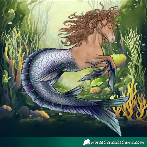 Horse Color:Gold Champagne 