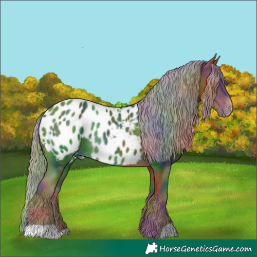 Horse Color:Nacre Chestnut Mushroom Appaloosa