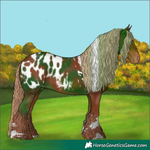 Horse Color:Chestnut Tobiano Near Leopard 