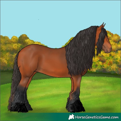 Horse Color:Void Bay