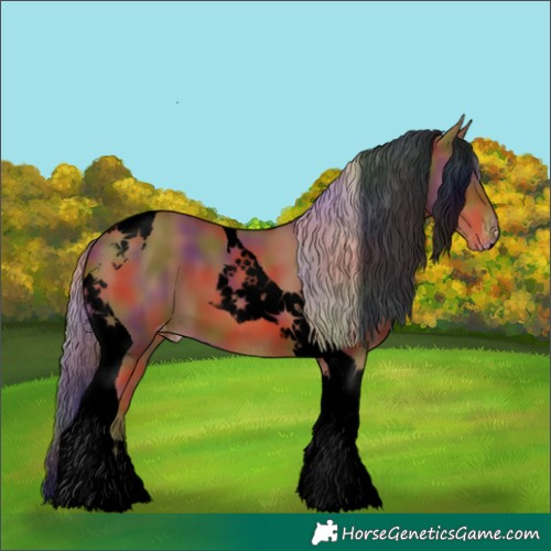 Horse Color:Void Nacre Chestnut Tobiano Appaloosa 