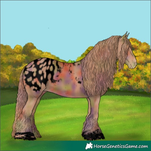 Horse Color:Void Nacre Chestnut Blanket 