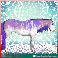 Horse Color:Watercolor White Spotted Bay Sabino 