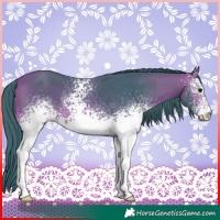 Horse Color:Watercolor White Spotted Bay