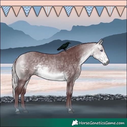 Horse Color:Chocolate Silver Buckskin Chinchilla 