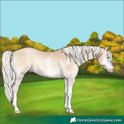 Horse Color:Silver Blue Onyx Snowdrop Pearl Sabino 