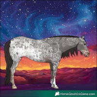 Horse Color:Liver Chestnut Ice
