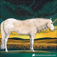 Horse Color:Palomino Ice Splash Blanket