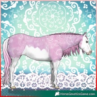 Horse Color:Watercolor Buckskin Ice Splash Rabicano