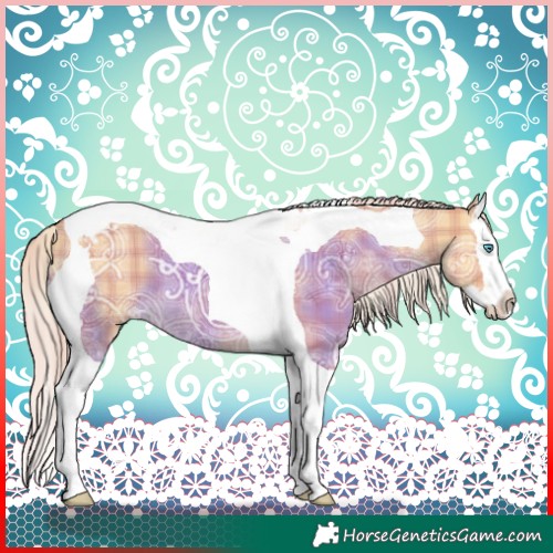 Horse Color:Plaid Palomino Ice Dun Splash Tobiano
