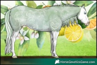 Horse Color:Watercolor Chocolate Palomino Ice Pearl Splash 