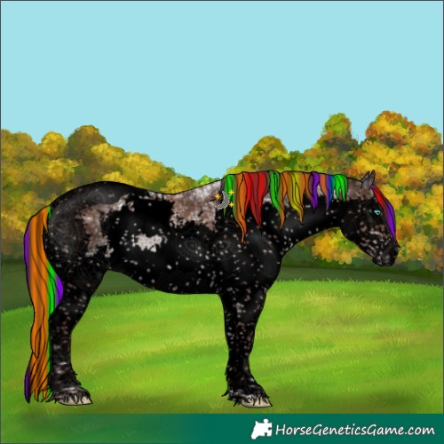 Horse Color:Void Painted White Spotted Chocolate Brown Ice Dun Splash Tobiano Brindle 