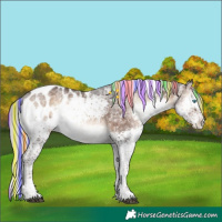 Horse Color:Painted White Spotted Silver Brown Ice Onyx Splash Tobiano Blanket Brindle