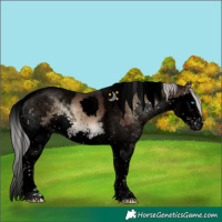 Horse Color:Void Silver Brown Onyx Sabino Splash Tobiano 