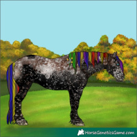 Horse Color:Void Painted White Spotted Liver Chestnut Ice Splash Tobiano
