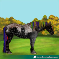 Horse Color:Void Painted White Spotted Liver Chestnut Ice Sabino Splash 