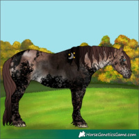 Horse Color:Void White Spotted Chocolate Brown Dun Splash Tobiano Brindle 
