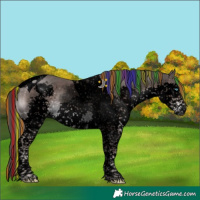 Horse Color:Void Platinum Painted Liver Chestnut Sabino Splash Tobiano