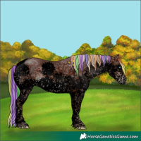 Horse Color:Void Painted Chocolate Silver Brown Ice Sabino Splash Tobiano