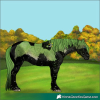 Horse Color:Void Platinum Watercolor Liver Chestnut Sabino Splash Tobiano