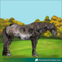 Horse Color:Void Platinum Liver Chestnut Ice Splash Tobiano 
