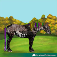 Horse Color:Void Platinum Painted Chocolate Brown Ice Sabino Splash Tobiano 