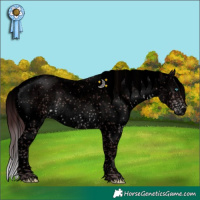 Horse Color:Void Platinum Chocolate Brown Sabino Splash 