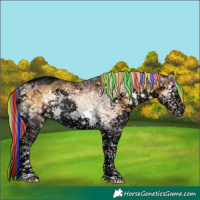 Horse Color:Void Painted White Spotted Chocolate Palomino Ice Onyx Splash Tobiano Brindle