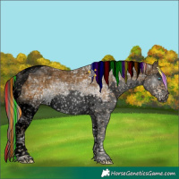 Horse Color:Void Painted Chocolate Palomino Ice Sabino Splash Tobiano