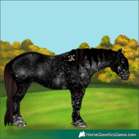 Horse Color:Void Platinum Chocolate Brown Onyx Sabino Splash Brindle